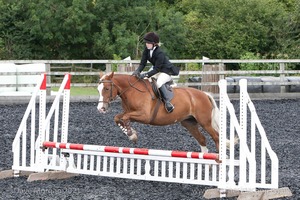 Class 4 - Fences 2'3 to 2'6